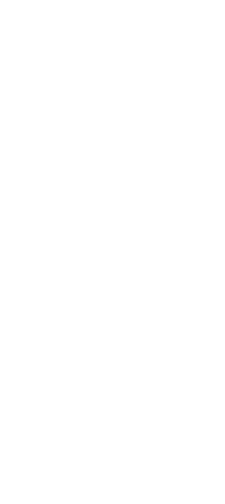 Silhouette of a dead ash tree with no leaves